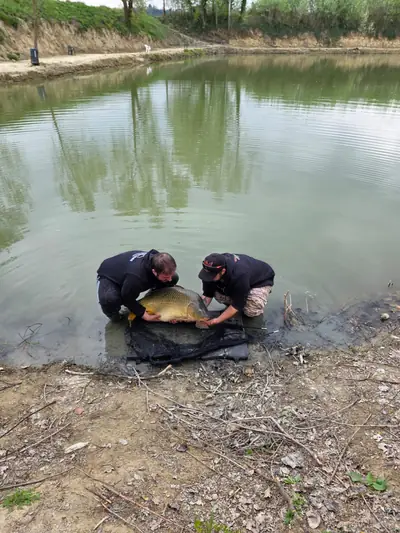 Due pescatori rilasciano una carpa sulla riva del Lago La Fenice