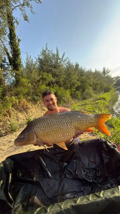 Pescatore con una grossa carpa a specchi sul materassino di slamatura