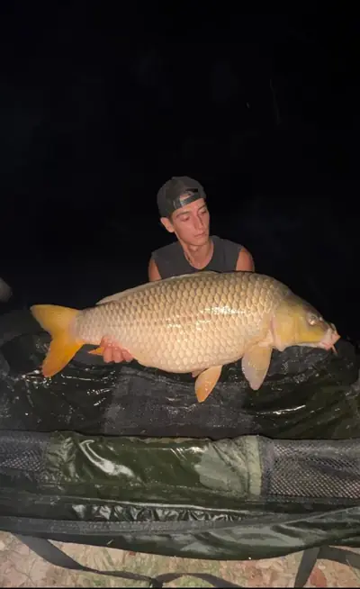 Cattura notturna di una carpa al Lago La Fenice
