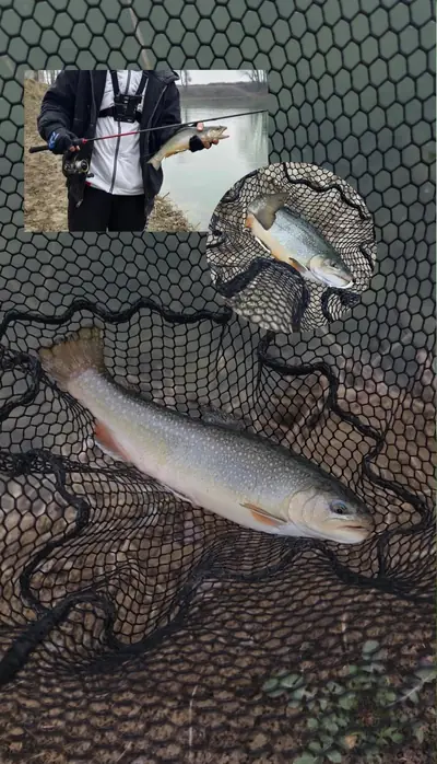 Salmerino nel guadino e pescatore con la canna in riva al lago
